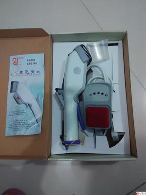 蒸汽熨斗与蒸汽烫刷 二手日用百货交易新趋势